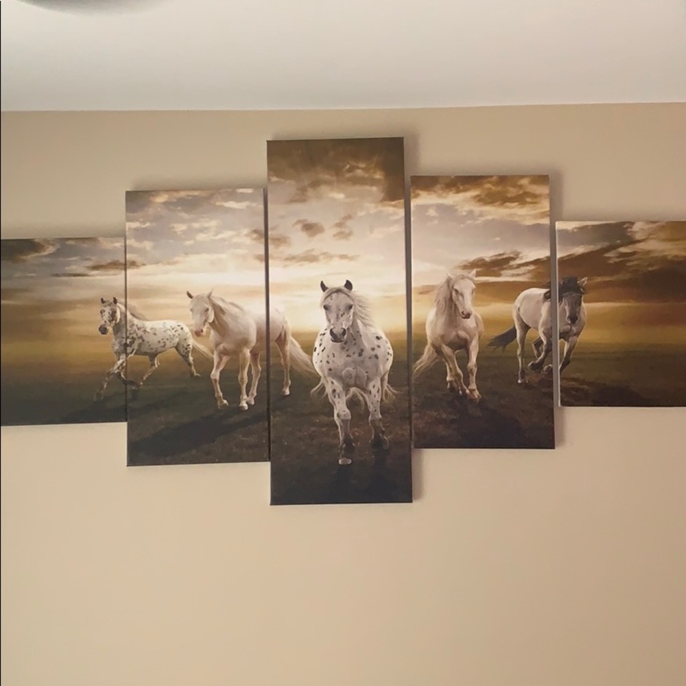 5 piece horse canvas picture set
